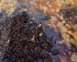 Foto langkah ke 7 dari resep Bebek Bumbu Hitam Madura.