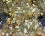 A picture of step 3 of Dry fruits halwa.