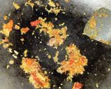 Foto langkah ke 2 dari resep Ulukutek Leunca dengan Tempe.