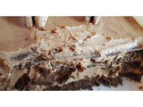 Chocotorta ♡