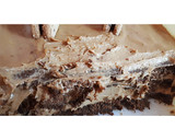 Foto del paso 3 de la receta: Chocotorta ♡