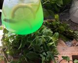 Une image de l'étape 11 de 🍃🌿Menthe 🪴à l’eau 💧façon grand mère 🥂.
