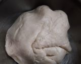 A picture of step 5 of Puran Poli.