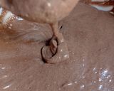 عکس مرحله 6 از دستور کیک شکلاتی