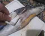 Foto del paso 4 de la receta: Bagre de Río despinado a la plancha