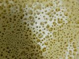 بغرير (غرايف) تقليدي