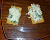 Cheese Spread or Dip recipe step 8 photo