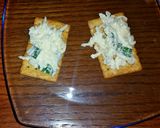 A picture of step 8 of Cheese Spread or Dip.