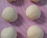 Foto langkah ke 3 dari resep Bakpao Super Lembut.