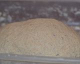 Foto del paso 3 de la receta: Pan tipo molde con masa madre y semillas