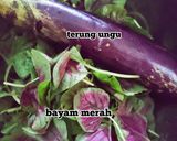 Gambar langkah 1 resipi Masak Lemak Bayam Merah Bersama Terung Ungu.