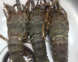 Foto langkah ke 1 dari resep Lobster Asam manis Mantul.