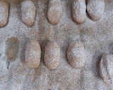 Foto del paso 7 de la receta: Polvorón almendra tradicional