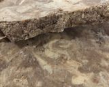 Foto del paso 6 de la receta: Mantecol casero con baño de chocolate