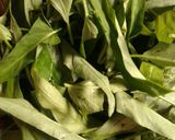Foto langkah ke 1 dari resep Tumis kangkung saus tiram.