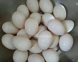 Foto langkah ke 5 dari resep Telur asin homemade...masir, berminyak 👍.