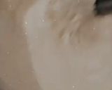 Foto del paso 8 de la receta: Helado de fernet