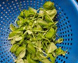 Foto del paso 1 de la receta: Salsa de Pesto