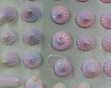 Foto del paso 3 de la receta: Suspiros de merengue
