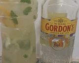 Foto del paso 3 de la receta: Gin tonic casero (jugo de hierbas (menta, jengibre, pepino etc)