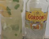 Foto del paso 3 de la receta: Gin tonic casero (jugo de hierbas (menta, jengibre, pepino etc)
