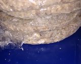 Foto del paso 5 de la receta: Hamburguesa de 2 ingredientes: lentejas y avena