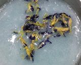 Foto langkah ke 2 dari resep Ocean Blue Drink.