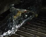 Foto del paso 2 de la receta: Salmón a la parrilla