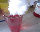 Foto del paso 1 de la receta: Terremoto (Trago típico chileno para Fiestas Patrias)