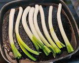 Foto del paso 5 de la receta: Calçots a la plancha con guarnición de carne