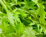 Hình bước làm 1 của món Cải Xanh Đuôi Phụng Non Chấm Kho Quẹt