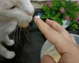 صورة لخطوة 2 من وصفة بانكيك 🥞🧡
