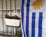 Foto del paso 1 de la receta: Picada de Previa🇺🇾en Marindia,Canelones Uruguay
