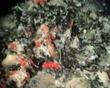 Foto langkah ke 4 dari resep Oblok - Oblok Daun Singkong.