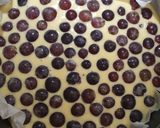 Foto del passaggio 2 della ricetta Torta all'uva