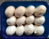 Foto del paso 4 de la receta: Medallón de solomillo de pavo con champiñón al ajillo