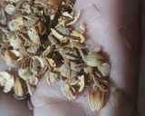 A picture of step 7 of Urad Dal Bedmi Puri.