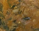 Foto langkah ke 4 dari resep Kari Ayam untuk Roti Jala.