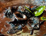 Foto langkah ke 7 dari resep Cumi Masak Hitam ala Chef Muhammad.