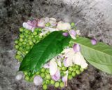 Foto langkah ke 2 dari resep Tumis Kerang.