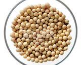 A picture of step 1 of Pearl millet (bajra in Hindi, kambu in Tamil) Idli.