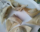 A picture of step 5 of Chicken Wontons.