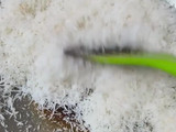 Mochi Kelapa (Miniatur Kelapa)