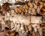 Foto del paso 8 de la receta: Árbol de Navidad