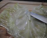 Persian cabbage rolls recipe step 3 photo