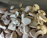 Foto del paso 3 de la receta Berenjenas rellenas de brócoli y champiño