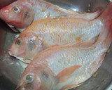 Foto langkah ke 1 dari resep Ikan Nila Bakar Teflon.