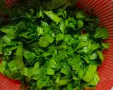 પાલક પનીર (Palak Paneer Recipe In Gujarati) રેસીપી સ્ટેપ1ફોટો