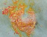 Foto langkah ke 5 dari resep Gulai Udang Kentang.