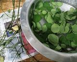 A picture of step 1 of Drumstick leaves Soup.